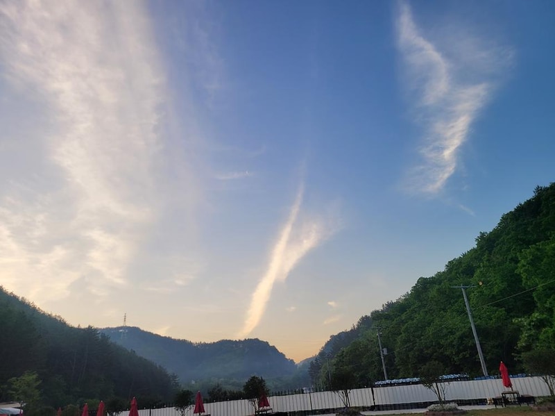 대암 팜트리 시설 사진 1