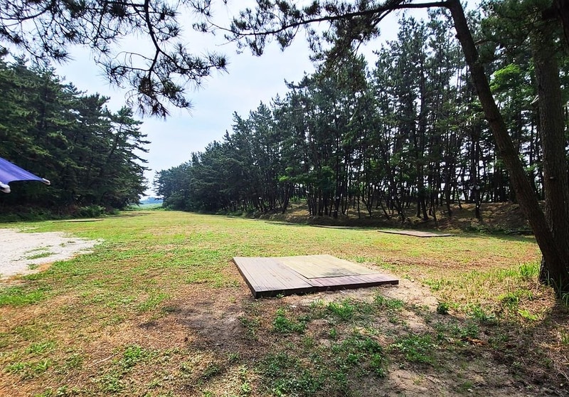 태안노을숲캠핑장 시설 사진 11