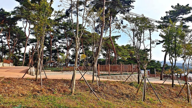 교룡공원 숲속야영장 시설 사진 51