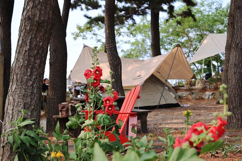 홀리데이캠핑파크 시설 사진 20