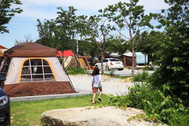 강화고인돌 캠핑장 시설 사진 21