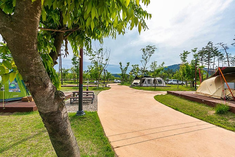 삼강나루캠핑장 시설 사진 23