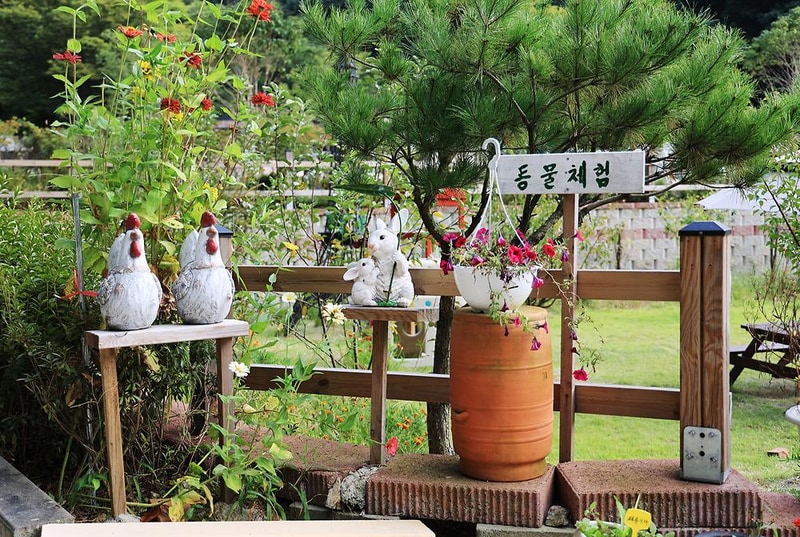 젤코바 캠핑장 시설 사진 12