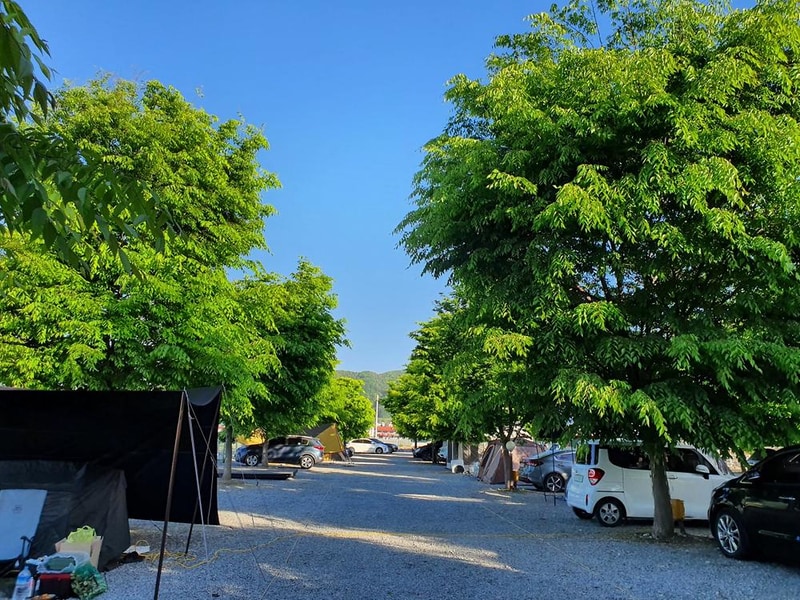 캠프241 시설 사진 7