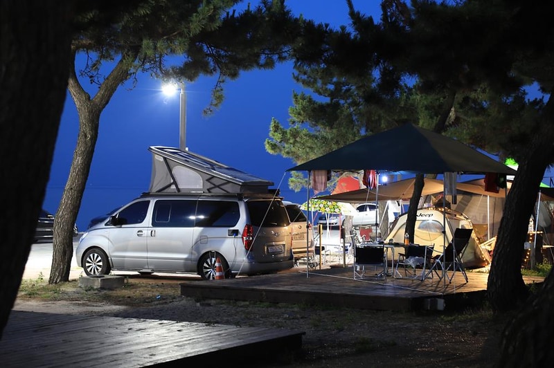 연곡해변 솔향기캠핑장 시설 사진 9