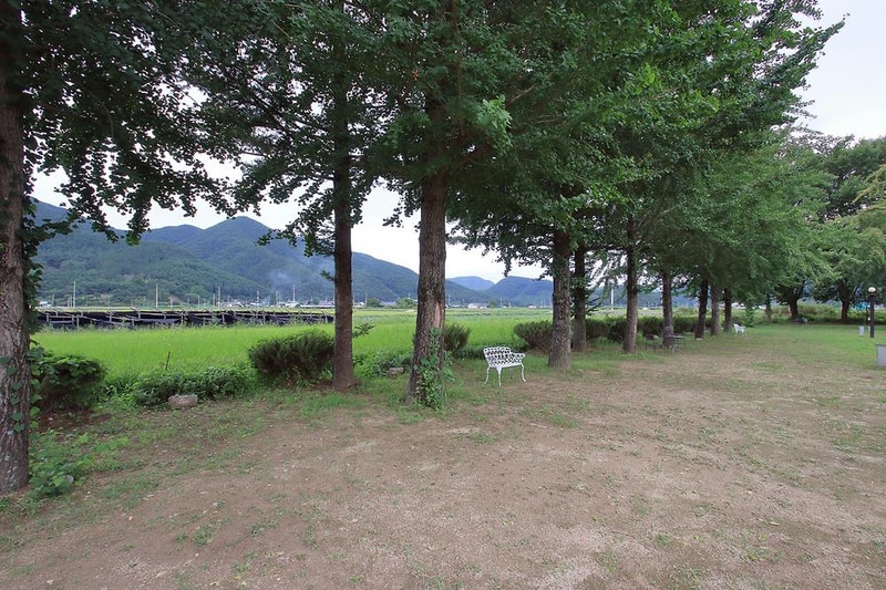 잉카마야박물관&캠핑장 시설 사진 3