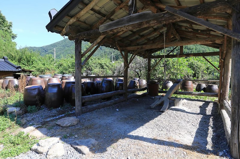 패밀리오토캠핑장(한국전통문화체험학교) 시설 사진 14
