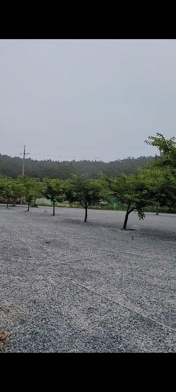 구름포해변캠핑장 시설 사진 39