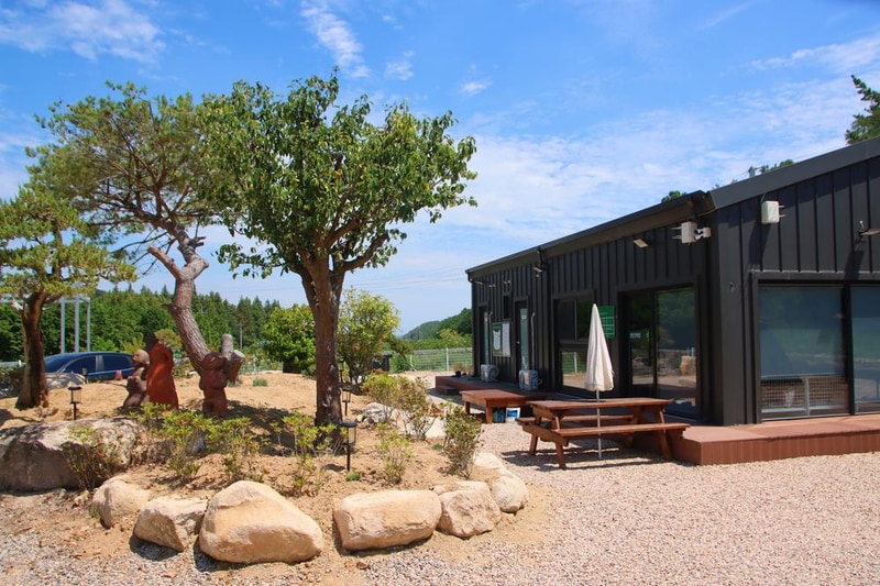 메타쉐콰이어 오토 캠핑장 시설 사진 8