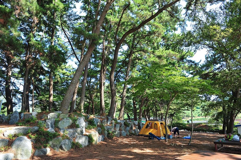 사촌해수욕장야영장 시설 사진 8