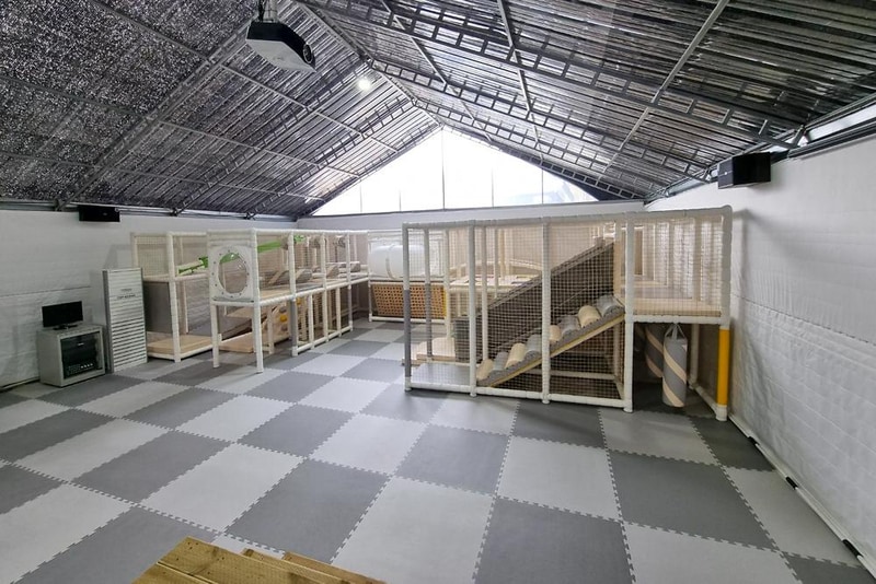 더 코지 캠핑장 시설 사진 4