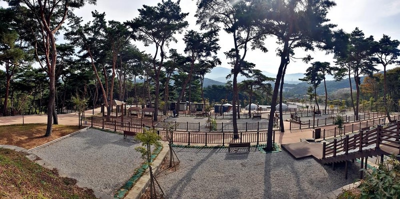 교룡공원 숲속야영장 시설 사진 47