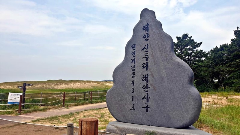 신두리 오렌지 캠핑장 시설 사진 3