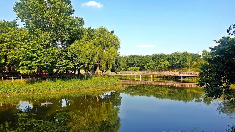 소풍정원 캠핑장 시설 사진 4