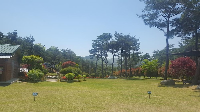 숲속의베리팜 시설 사진 16