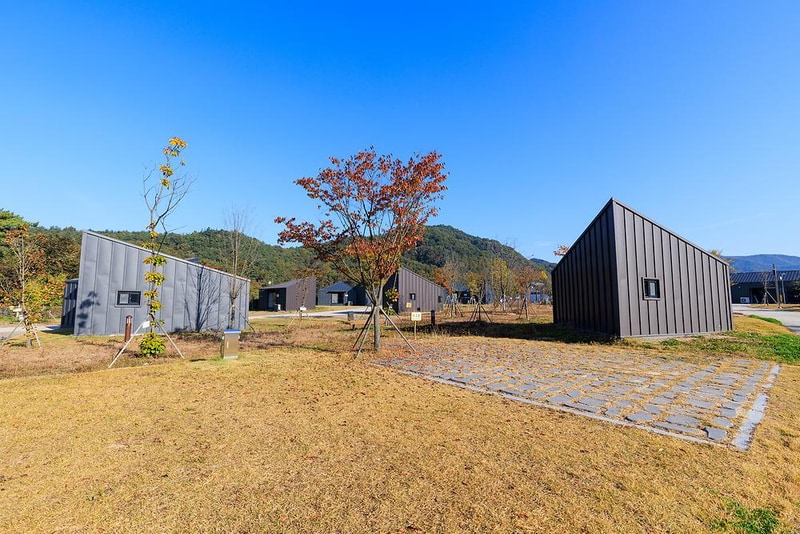 고운마을캠핑장 시설 사진 11