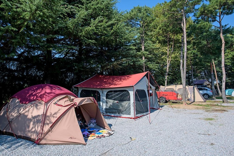 OK가족캠핑장 시설 사진 6