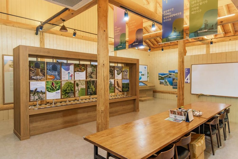 망상오토캠핑리조트 시설 사진 46