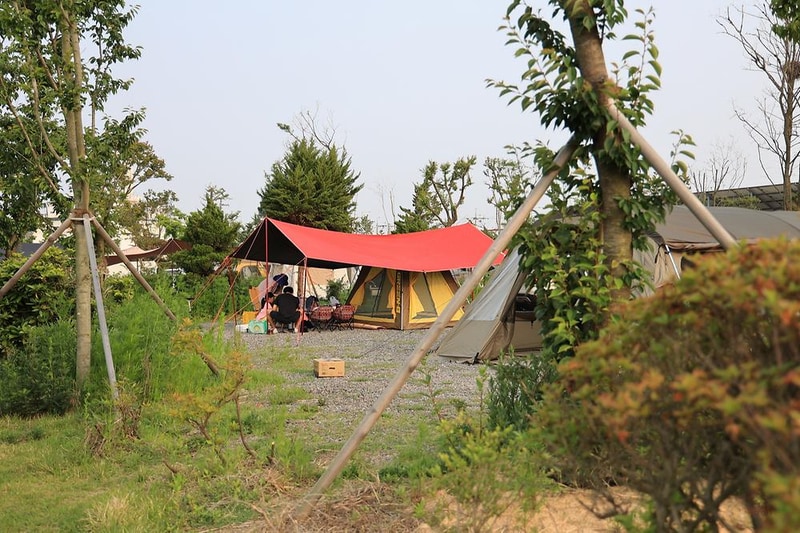 버드오토캠핑장 시설 사진 14