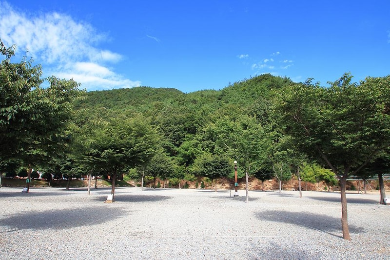 해바라기 캠핑장 시설 사진 4