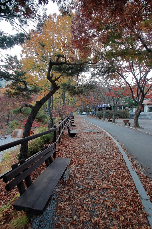 함허동천야영장 시설 사진 10