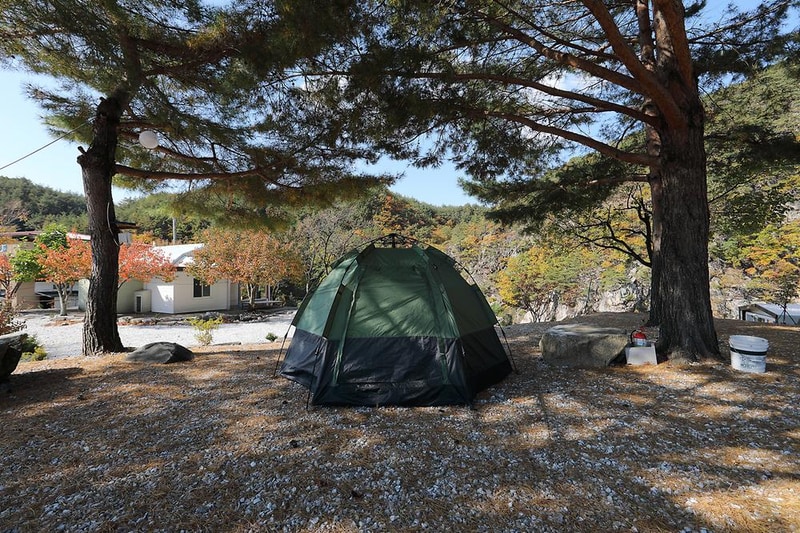 왕피천모래언덕 펜션/캠핑장 시설 사진 18