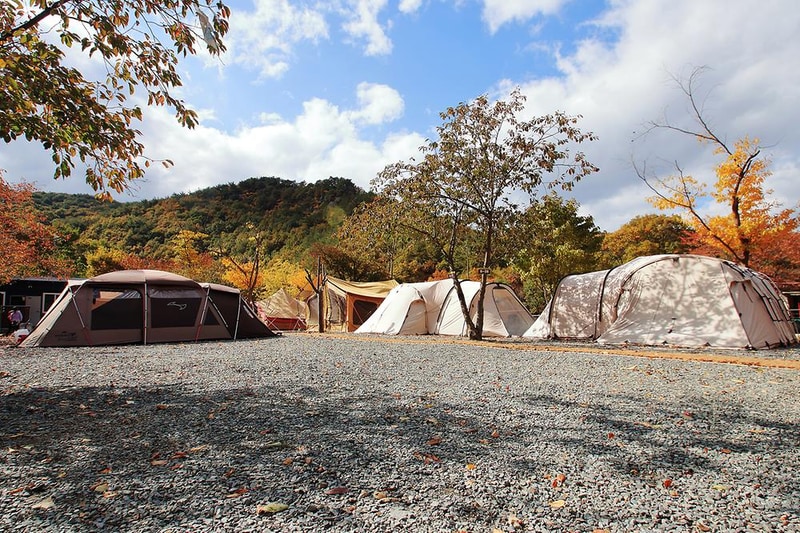 그린하우스캠핑장 시설 사진 18