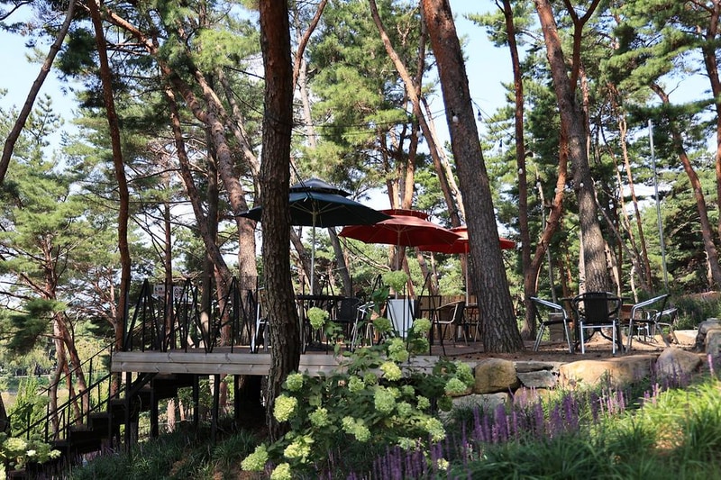 청춘별곡 시설 사진 5