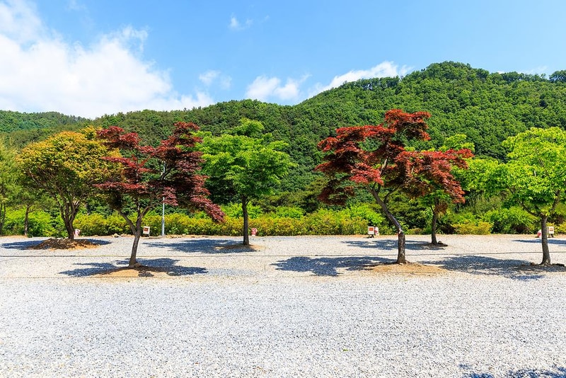 별바라기 캠핑 펜션 시설 사진 14