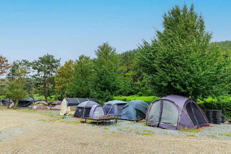 펜캠2495체험학교 시설 사진 12