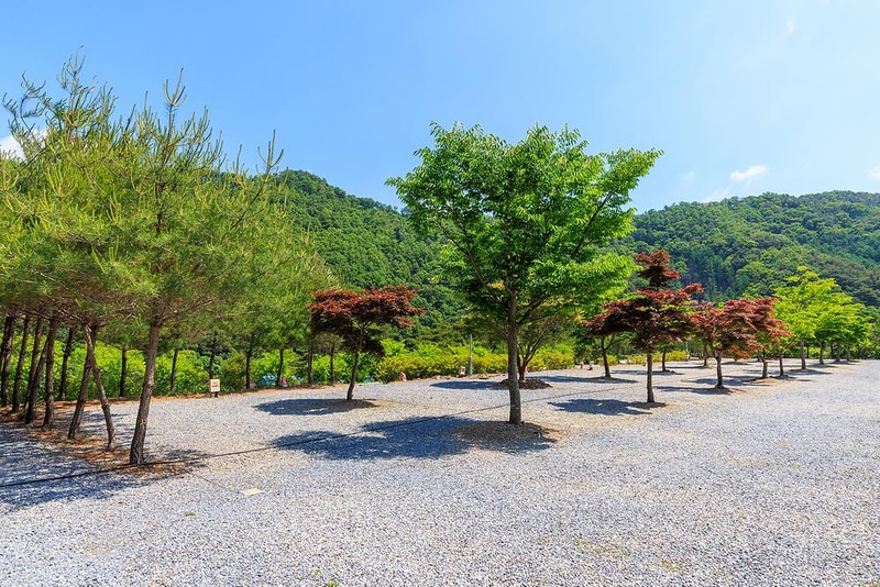 별바라기 캠핑 펜션 시설 사진 12