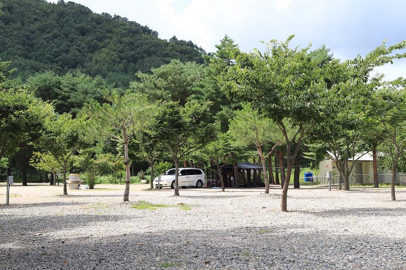 삼척엘림캠핑장 시설 사진 4