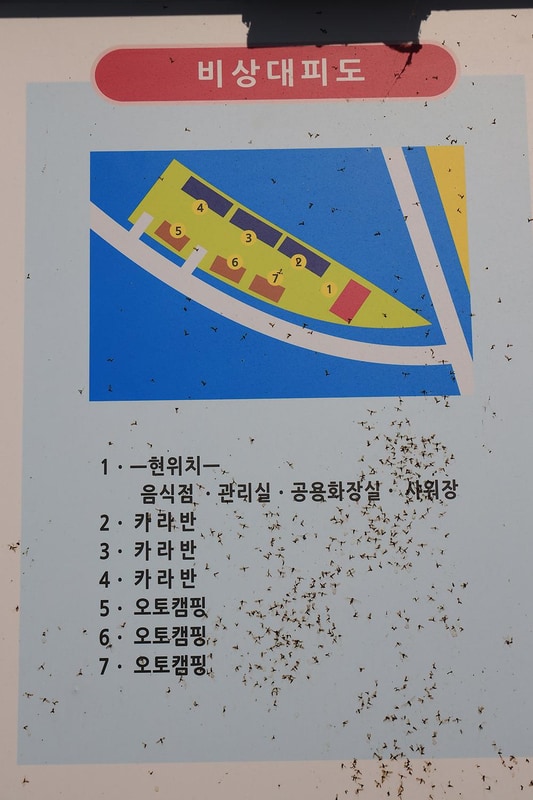 길안 다슬기캠프 시설 사진 21