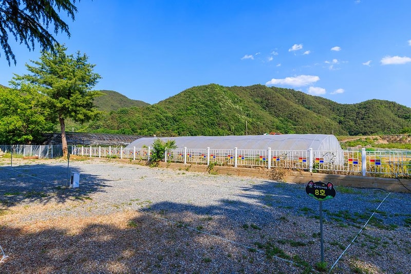 안림딸기마을 캠핑장 시설 사진 5
