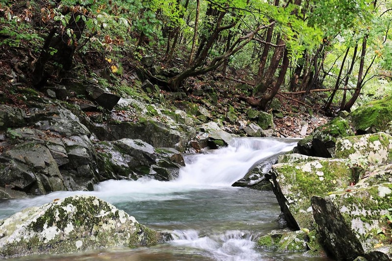 산마을 풍경 시설 사진 11