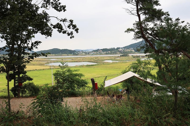 탄도호캠핑장 시설 사진 4