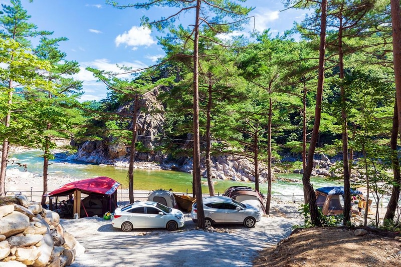 왕피천 숲속 캠핑장 시설 사진 14