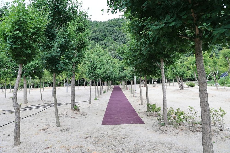 도마치 자연그대로 캠핑장 시설 사진 11