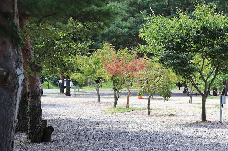 삼척엘림캠핑장 시설 사진 6