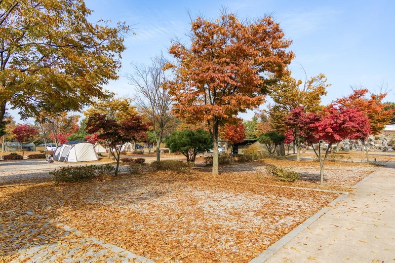 화성시 향남 오토캠핑장 시설 사진 76