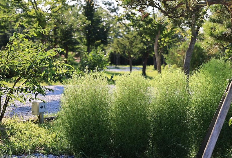 342 camp 시설 사진 3