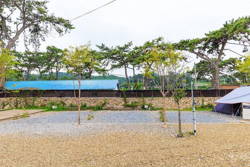 주전패밀리캠핑장 시설 사진 12