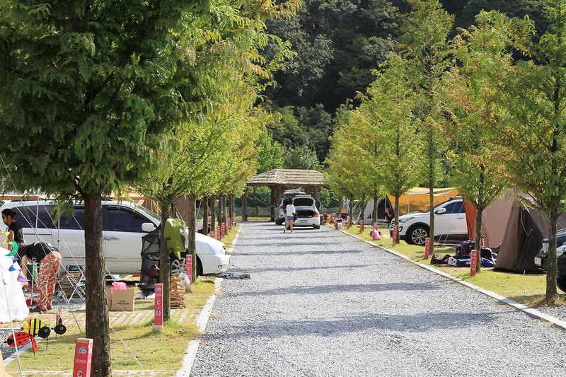 청양 칠갑산 오토캠핑장 시설 사진 14