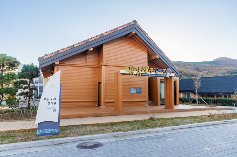 망상오토캠핑리조트 시설 사진 47