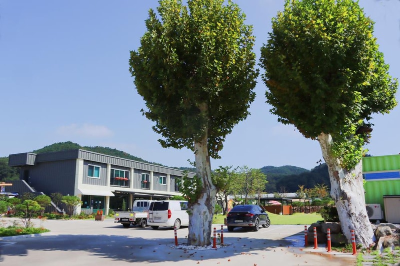 단밀오토캠핑장 시설 사진 3