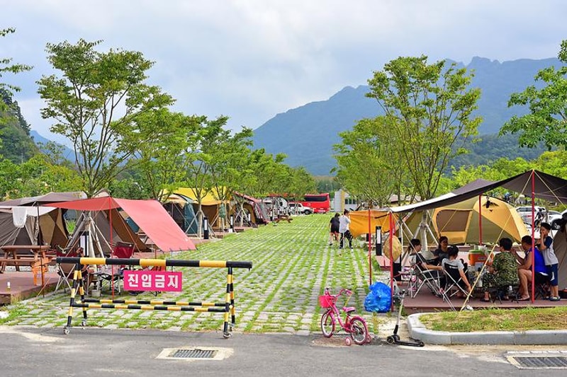 정읍시 내장산 국민여가캠핑장