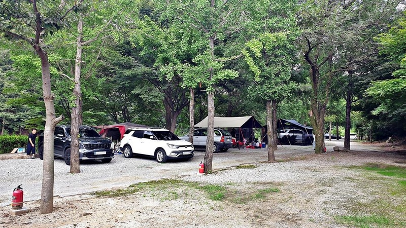 미산가족오토캠핑장 시설 사진 6