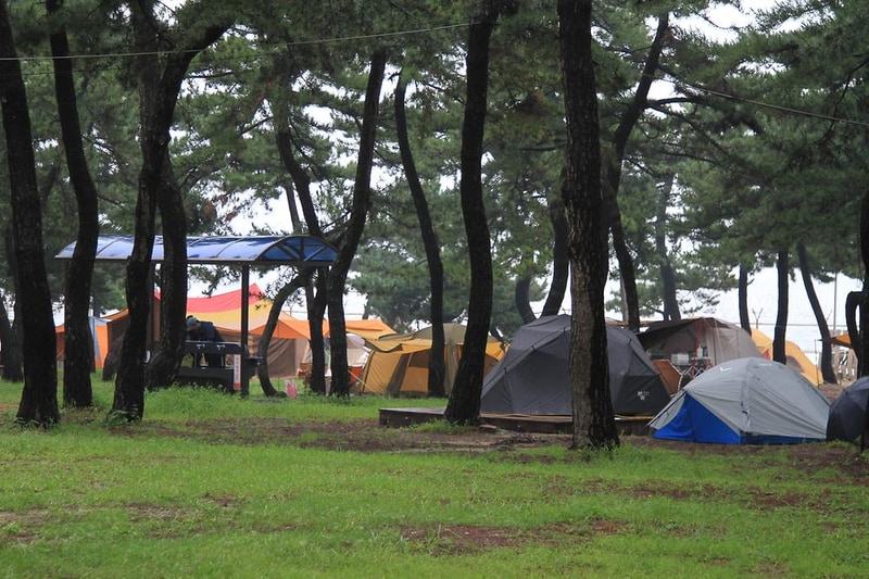 연곡해변 솔향기캠핑장 시설 사진 5