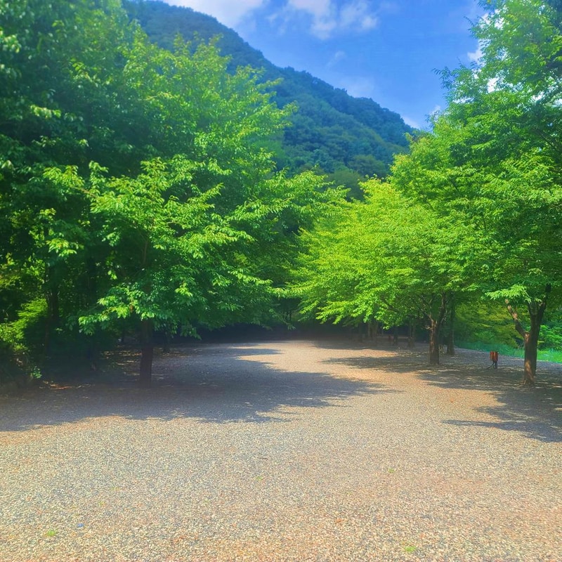 별삼킨별캠핑장 시설 사진 15