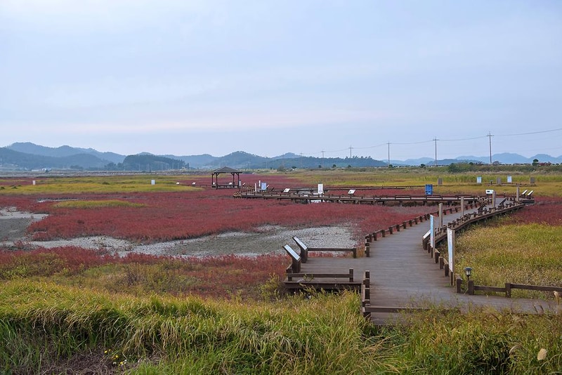 (주)태평소금 천일염 힐링캠프 시설 사진 4